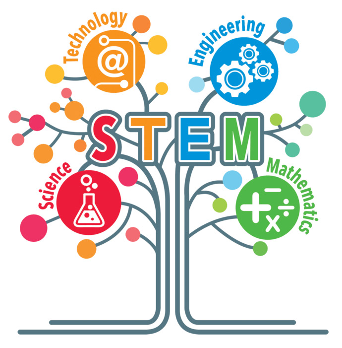 Are you interested in STEM?
