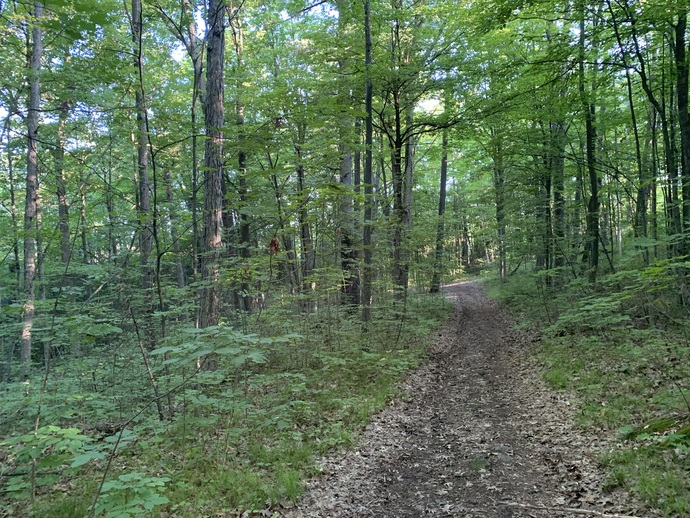 I head out the door and down the trails on my property. I have 7 km of trails.