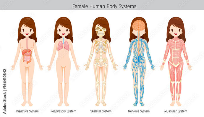 What is a woman?