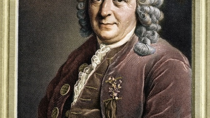 Was Carl Linnaeus right in his theory that there are four subspecies of Homo sapiens?