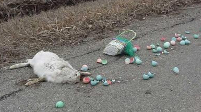 Happy Easter!