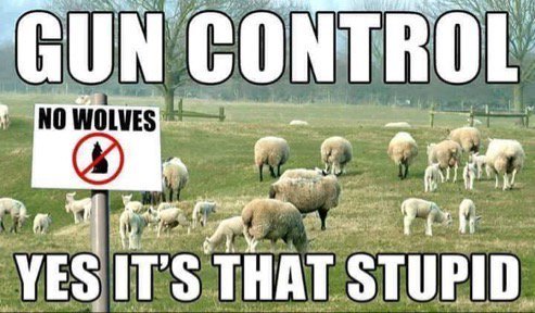 Are You FOR or AGAINST Gun-Free Zones?