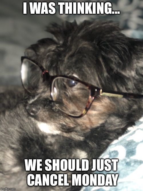 Why do I feel nerdy but at the same time feel kind of confident wearing glasses? Do glasses make a female more attractive or not really?