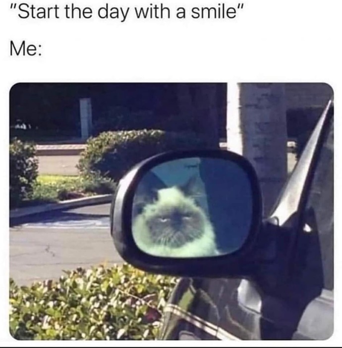 😂 😑