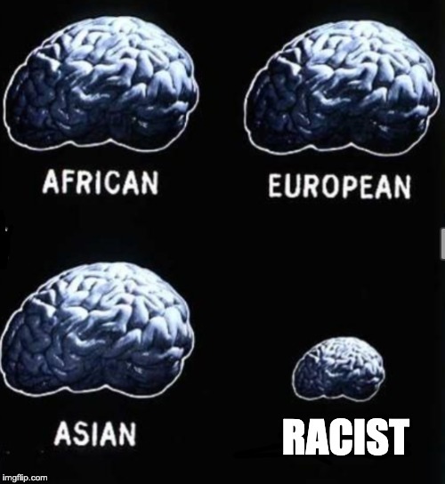Are racist sub human?