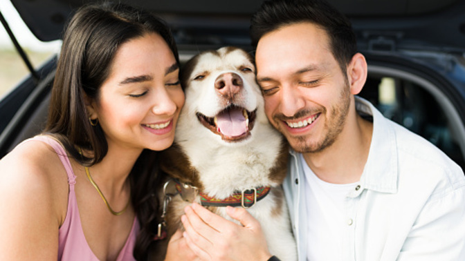 Would you want your (future) SO to have pets or to not have pets?