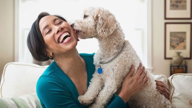My ex wants to see my dog. Should I let her or is it just an excuse to make up?