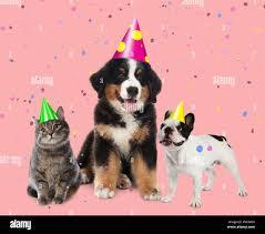 Pretty much like this but a pug on the end.