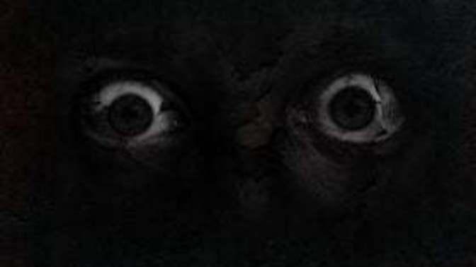 What would you do if you woke up in the middle of the night, and this was floating over you?
