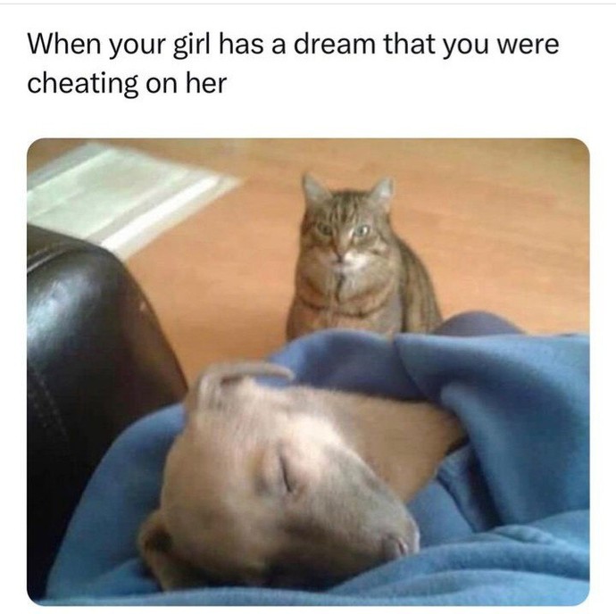 Have you ever dreamed about someone cheating on you?