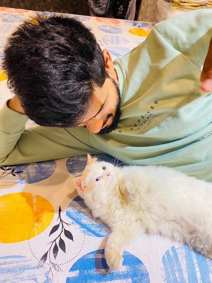 What is your favorite animal? and do you have a pet?