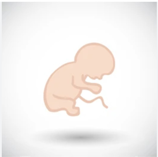 When you hear the Phrase Pro life what is the first thing that comes to your mind?