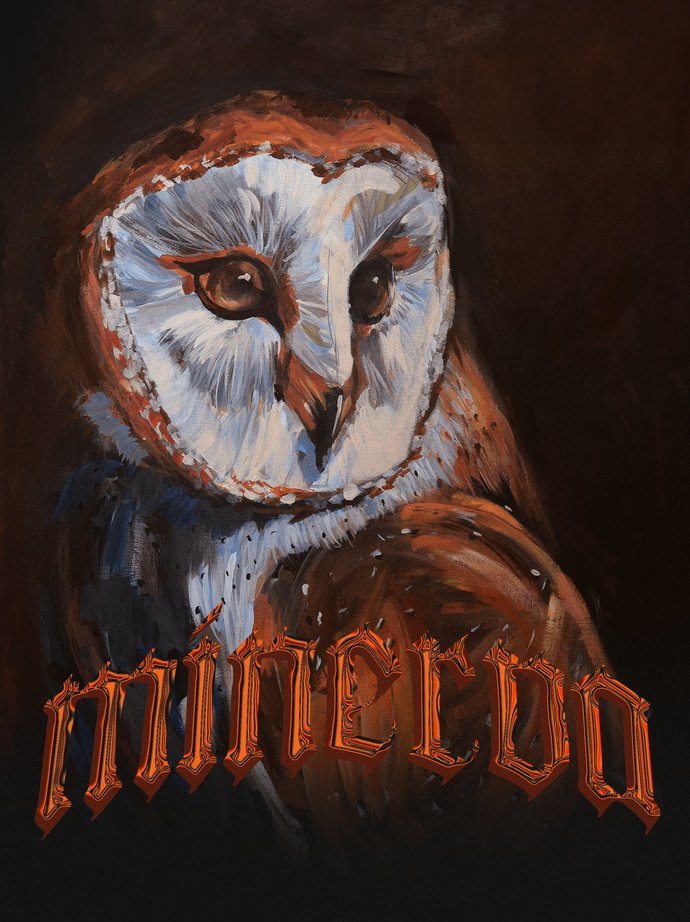 Do you like my art🦉❤️?