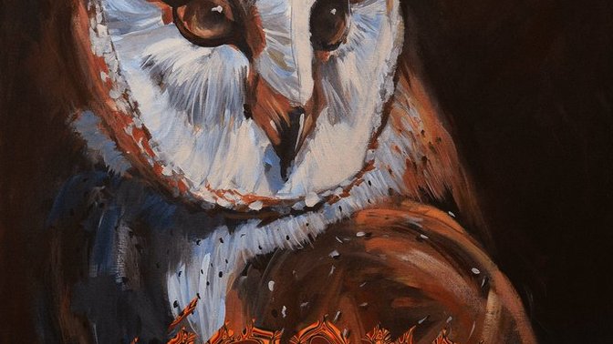 Do you like my art🦉❤️?