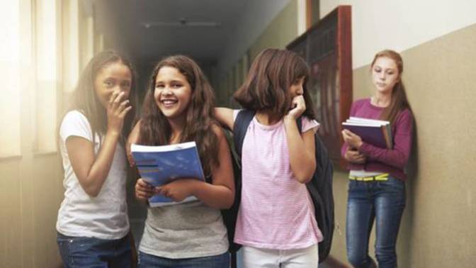 What experience do you have with bullies in school?