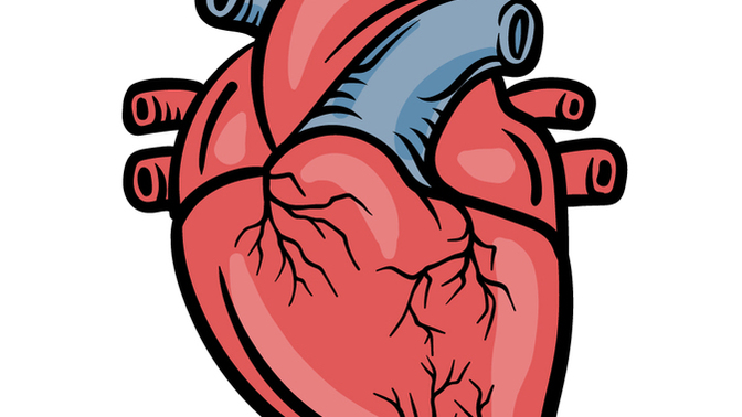 Do you think heart attacks are feminine?