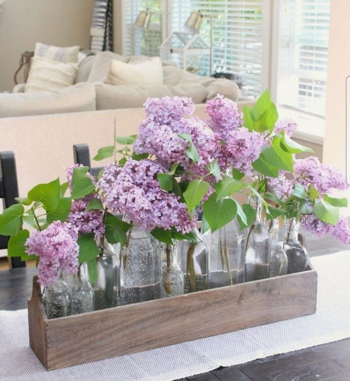 What does purple smell like? GirlsAskGuys