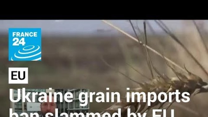 Poland and Hungary ban Ukraine grain imports to protect local farmers?