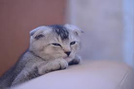 All I got from my Dad was a major case of stink-eye and disbelief! LOL