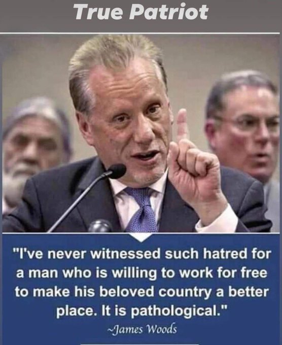 What do you think of James Woods?