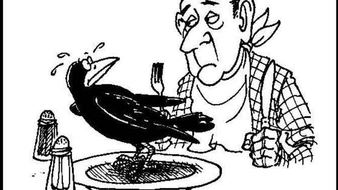For the Fox News folks and Trump minions - How does Crow Taste?