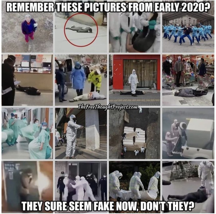 FDA banns Vaccines, how does that make you feel?