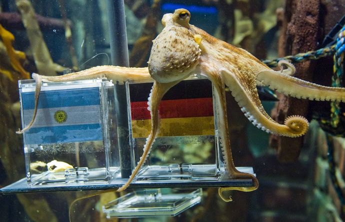 What's your favorite sea animals?