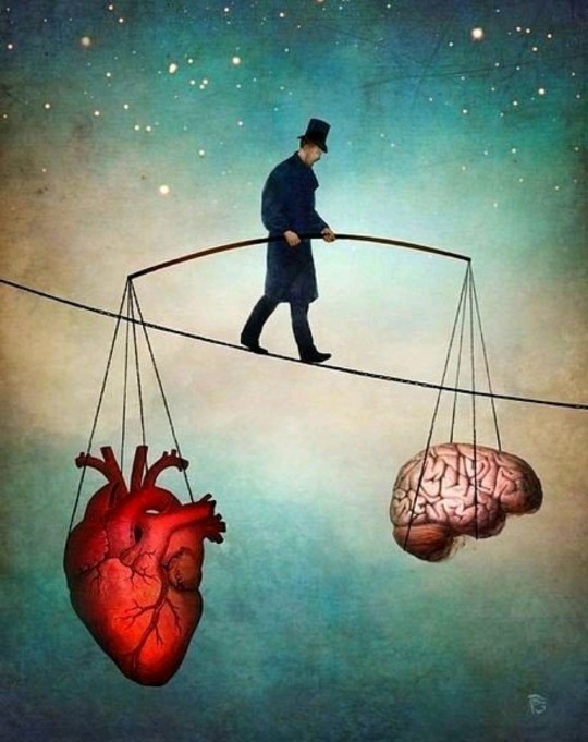 Are your decisions and actions emotional or rational?