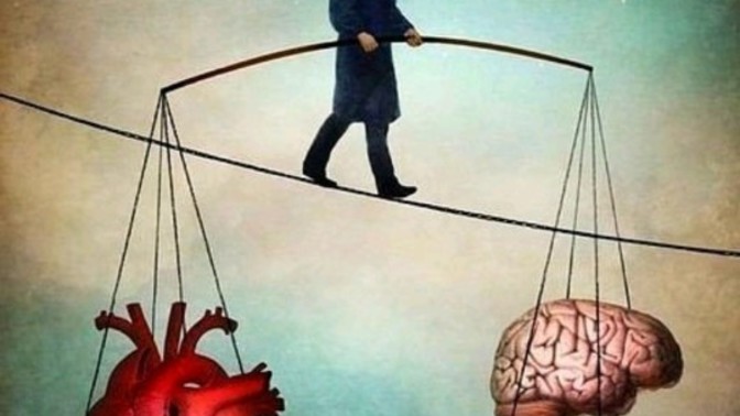 Are your decisions and actions emotional or rational?