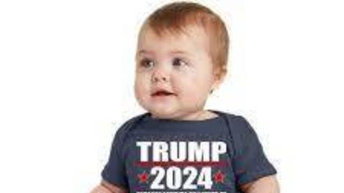 Why did the baby that got past White House security want?