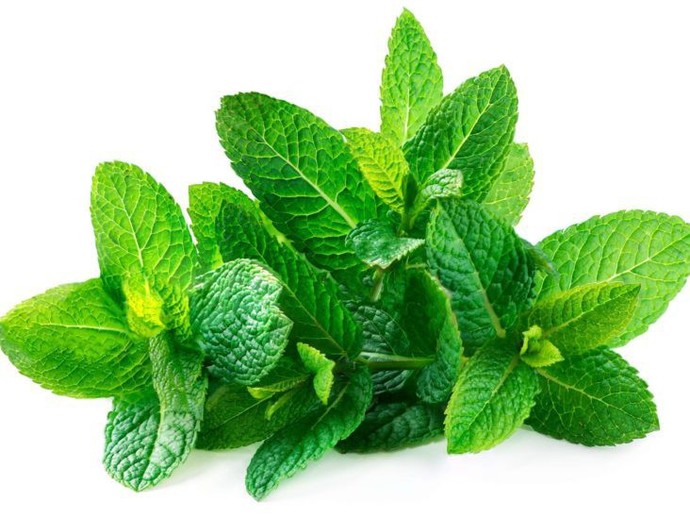 Mint or rosemary with lamb?
