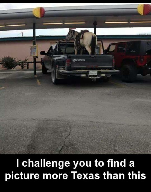Texas 