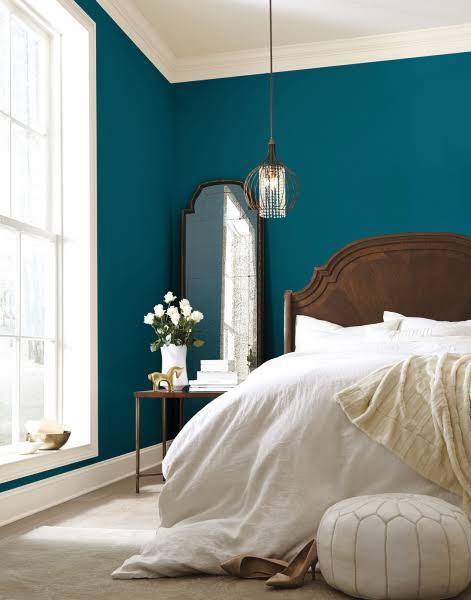 Say paints are given away color -ur choice;which you choosing for den?