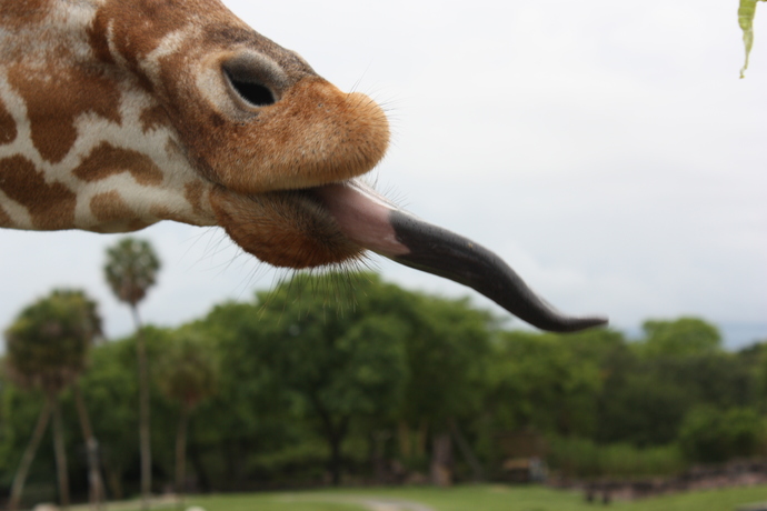 What’s the most ridiculous fact you know?