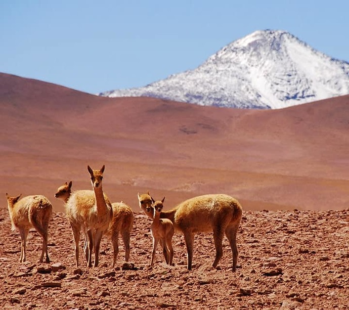 Atacama desert in South America
