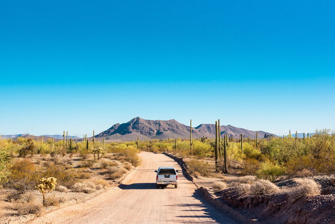 Arizona Desert
