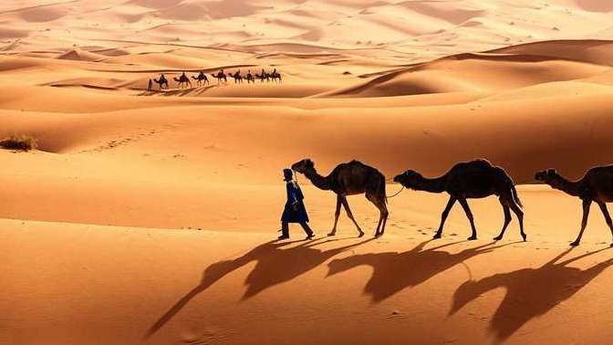 What do you think of these deserts?