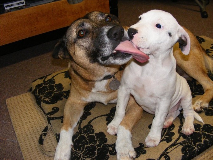 Is it okay to use tongue on your first kiss?