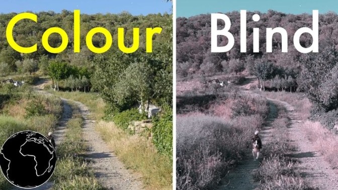 Are you colorblind?