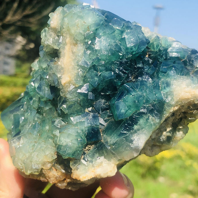 Do you collect minerals?