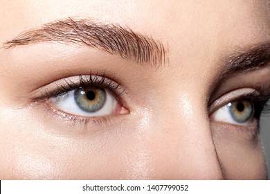 Thick or thin eyebrows? which one would you choice?