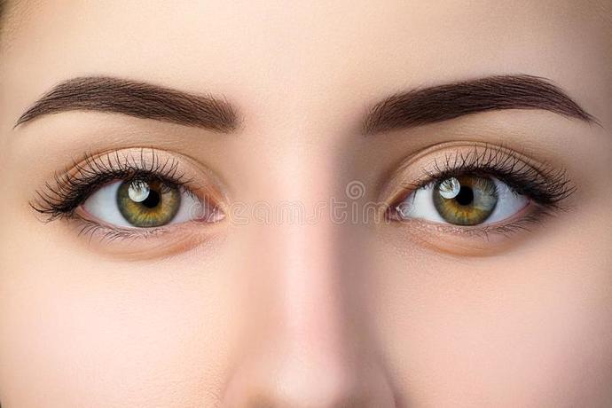 Thick or thin eyebrows? which one would you choice?