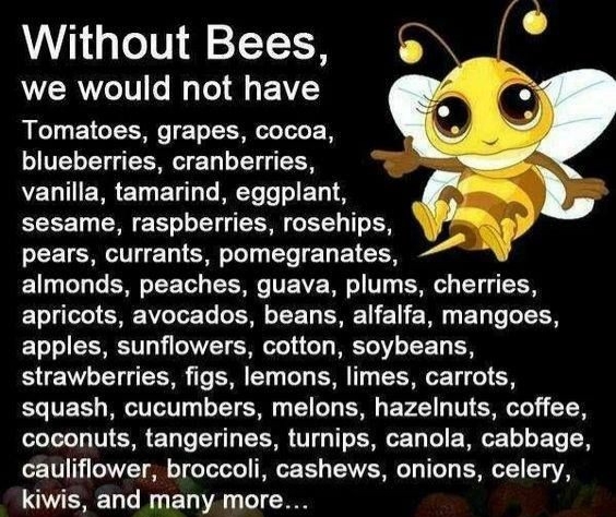 Do you care about the bees?