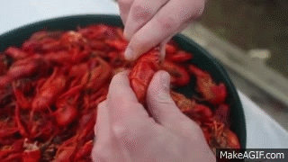 Do you like sardines?
