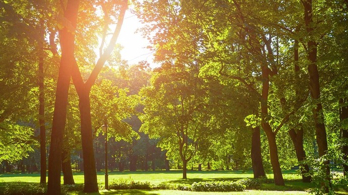Do you go out for walks? What is your favourite part?
