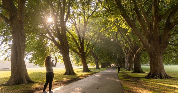 Do you go out for walks? What is your favourite part?