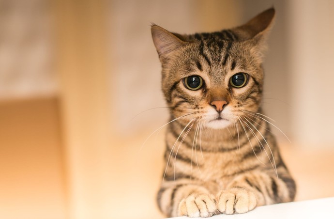 Do you think a 17 year old girl should file a police complaint after men cat called her?