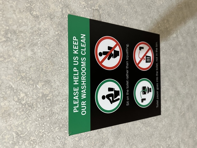 Does anyone actually use the toilet like this?