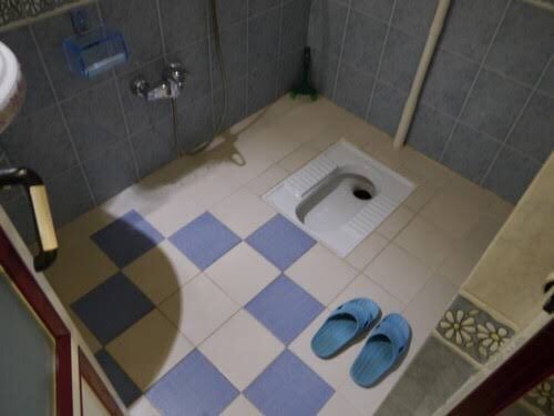 Does anyone actually use the toilet like this?