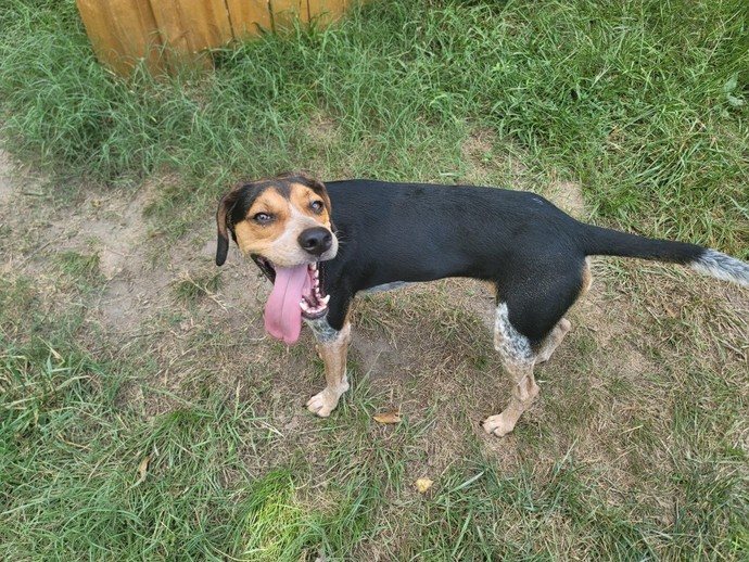 What are you thoughts on shared finances?